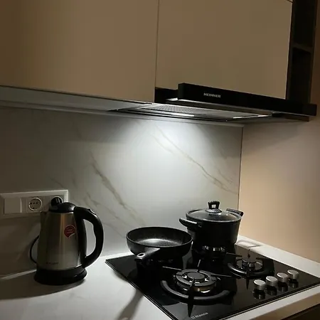 Hi-tech Aparts Apartment *